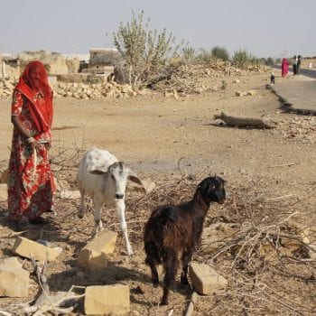Jaisalmer - Thar woestijn