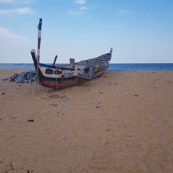 Keta   on the beach