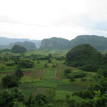 Pinar del rio