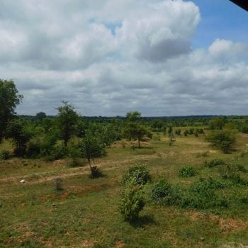 Train Yangon-Bagan