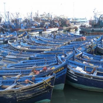 Blauwe bootjes in de haven