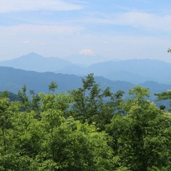 Net buiten de stad, uitzicht op mount fuji