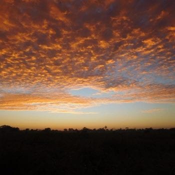 Zonsopkomst