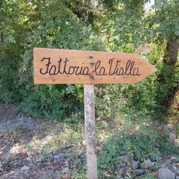 Fattoria la Vialla