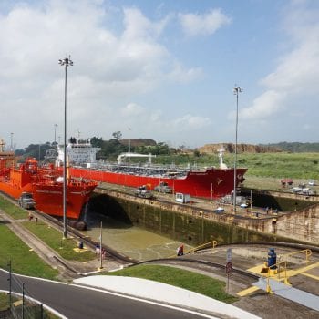 Het Panama kaneel