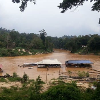Taman Negara