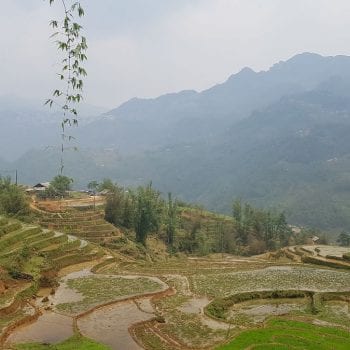Sapa