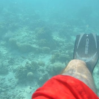 Snorkelen 