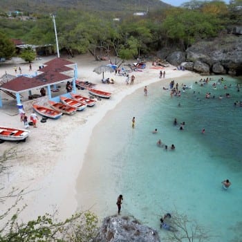 Schoolzwemmen  in een baai
