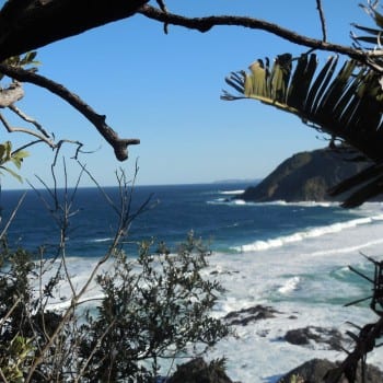 Wild Coast