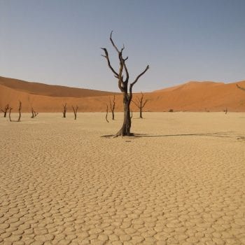 Deadvlei