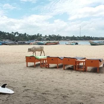 Arugam Bay