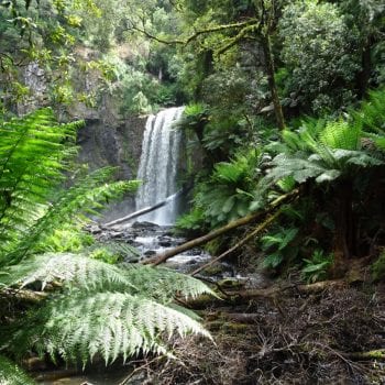 Hopetoun falls