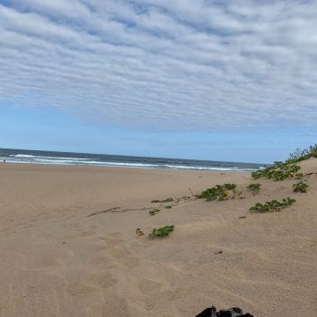 Cape Vidal