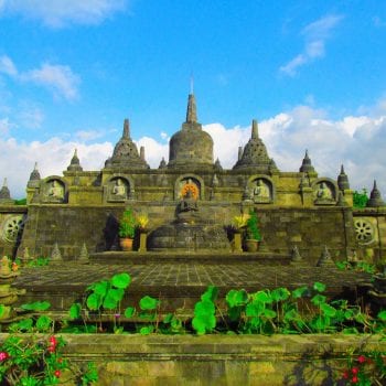 Pura Brahma