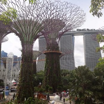 Gardens by the Bay