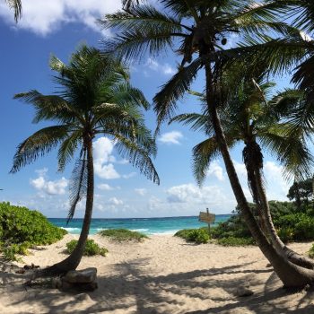Een van de mooie stranden bij Akumal