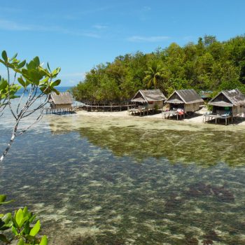 homestay Raja Ampat.