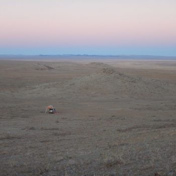 Wildkamperen in de leegte van Mongolië