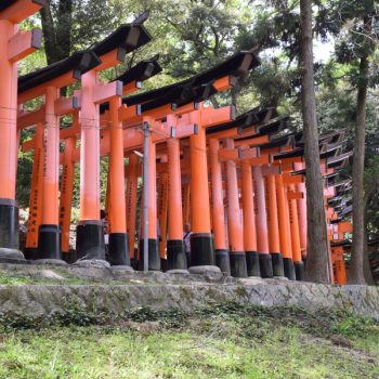 Fushimi Inari Kyoto