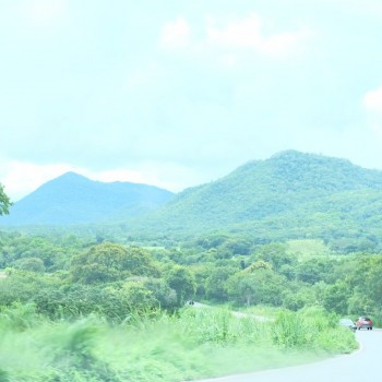 Prachtige uitzichten. Rijdend door de Pantanal 