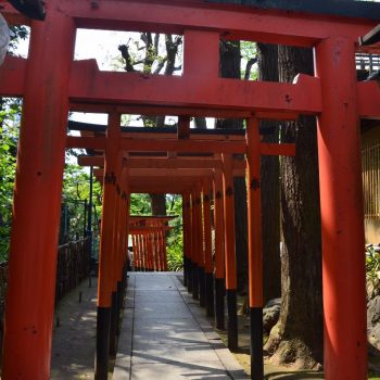 Torii poort in Ueno park