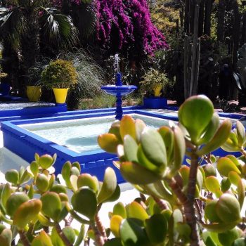 Jardin Majorelle