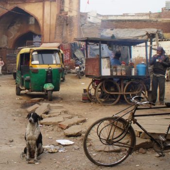 Veel India in één foto, gemaakt in Agra
