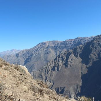 Colca Canyon