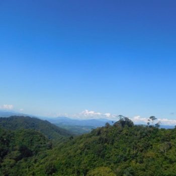 This is the view