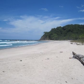 pura vida
