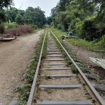 Bamboo train