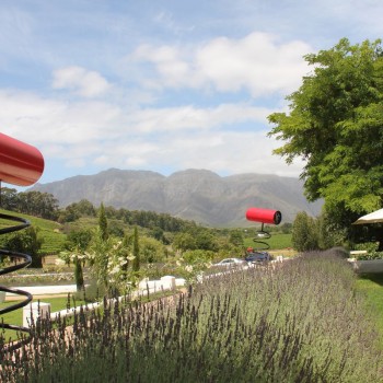 Peter Falcke winefarm