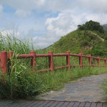Tai O road to viewing point