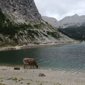 Krnsko Jezero
