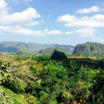 Vinales
