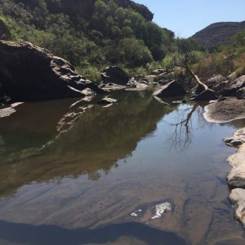 Vissen op Bultfontein