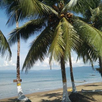 Ongerepte jungle EN prachtig strand in Bahia Solano