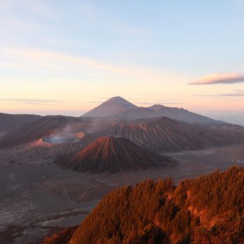 Bromo
