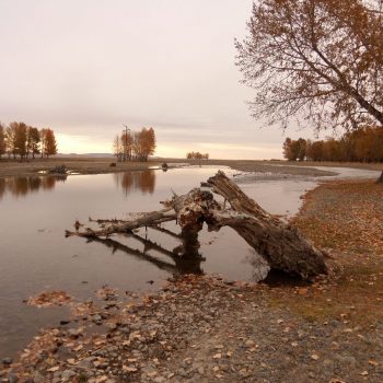 Mooie herfstkleuren bij een rivier