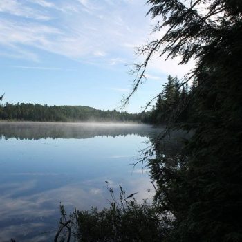 Wandeling Algonquin National Parc