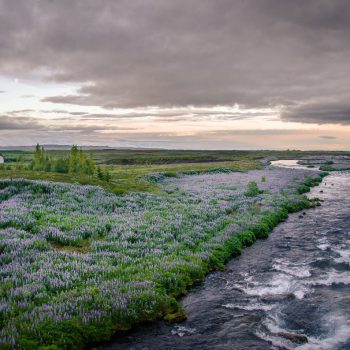 Natuur! 
