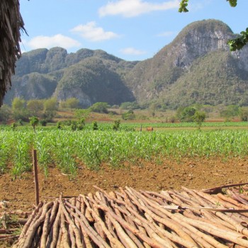 Valle de Vinales