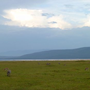 Uitzicht op Lake Nakuru