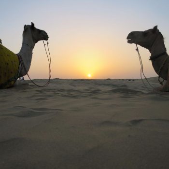 Thar Desert