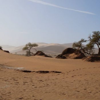 Zandstorm Sossuvlei