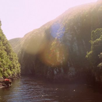 Tsitsikamma National Park