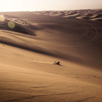 Sandboarden