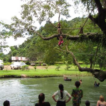 Vanuit een boom de rivier in springen