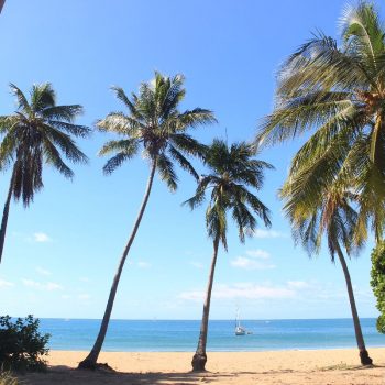Magnetic island